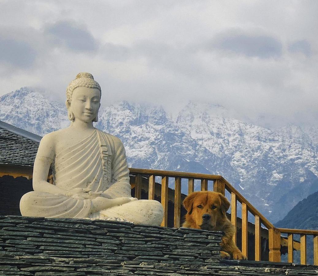 קנגרה Osho Himalayas Wellness Resort מראה חיצוני תמונה