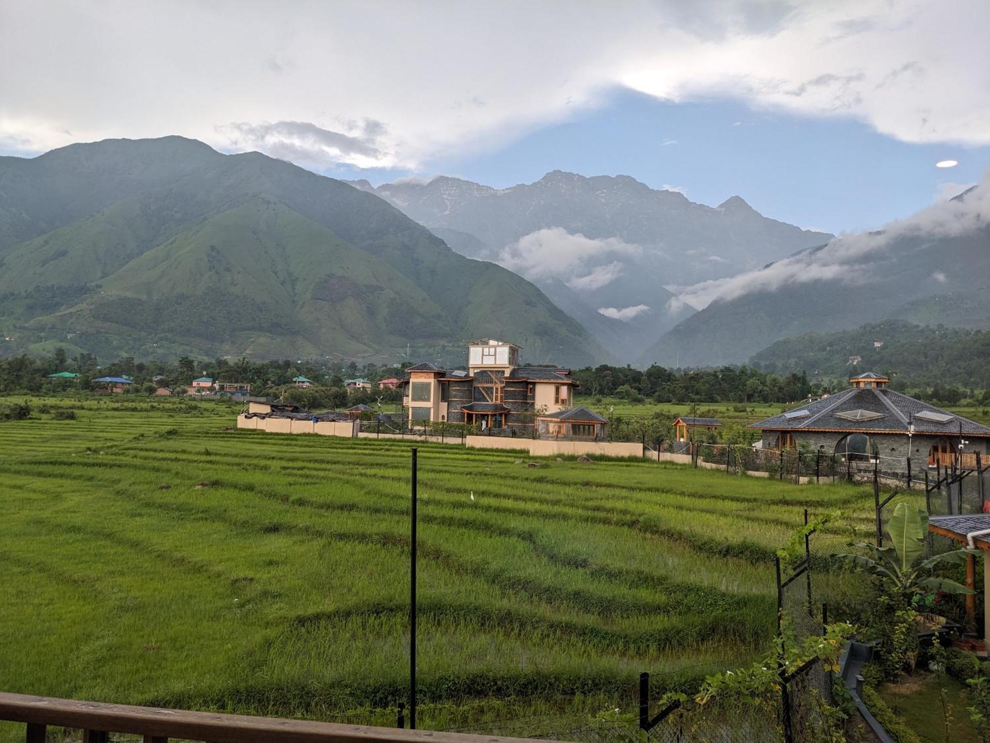 קנגרה Osho Himalayas Wellness Resort מראה חיצוני תמונה